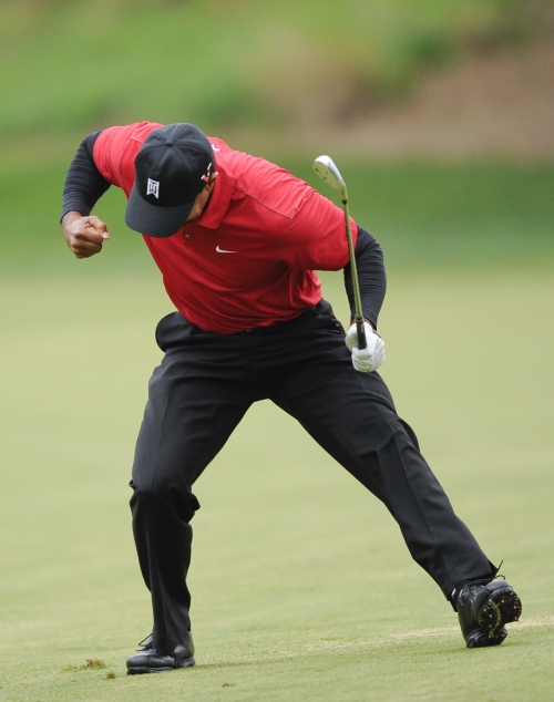 타이거 우즈 (Tiger Woods), 골퍼/ 타이거 우즈 “내 실력 봤지?˝
