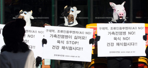 Vegetarians stage a street performance to promote the vegetarian diet in Seoul on Sunday after Korean health authorities have culled
more than 1 million animals to contain foot-and-mouth outbreaks.  (Yonhap News)