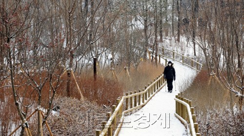 양천구 올레길. 박해묵 기자/mook@heraldm.com
양천구 올레길. 박해묵 기자/mook@heraldm.com
양천구 올레길. 박해묵 기자/mook@heraldm.com
목동 신시가지 개발로 30년간 도로를 사이에 두고 양분됐던 계남공원에 최근 생태통로 개통으로 하나의 공원으로 이어졌다. 4㎞에 달하는 계남공원 산책로는 접근성이 높아져 인근주민들의 발길이 이어지고 있다.  박해묵 기자/mook@heraldm.com