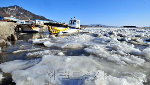 올 겨울 들어 가장 추운 한파가 지속되고 있는 가운데 강화도 창후리 선착장에 바닷물이 얼어 어선들이 정박해 있다.<br alt=