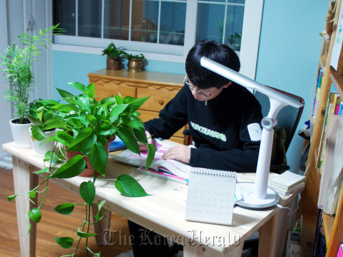 A student studies in a room furnished with Pothos and other air-purifying plants.
Park Min-young/ The Korea Herald