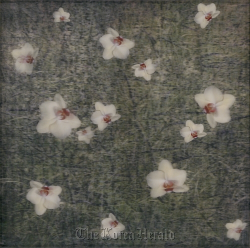 Three artworks inspired by poet Ko Un’s “The Flower” “The Memory of Nature” by Suk Chul-joo
“The Memory of Nature” by Suk Chul-joo