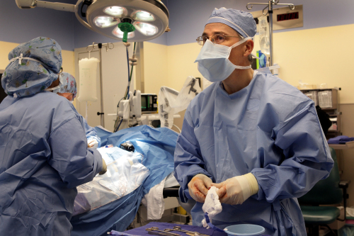 Washington University urologic surgeon Dr. Gerald Andriole prepares
a cancerous prostate specimen after removing it from a patient
during surgery on Jan. 10 at Barnes Jewish West County
Hospital in Creve Coeur, Missouri. (MCT)