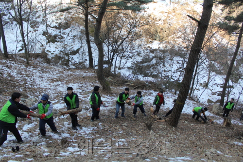 폐지를 재활용해 친환경 백판지를 생산하는 세하
세하 임직원 자원봉사단 40여명은 대구 화원자연휴양림에서 ‘그린 플러스’ 숲지킴이 발대식을 가졌다. 이어 숲가꾸기를 통해 발생한 부산물을 수거해 인근 독거노인 가정에 화목으로 활용할 수 있도록 ‘사랑의 땔감나누기’ 행사<사진>를 실시했다.