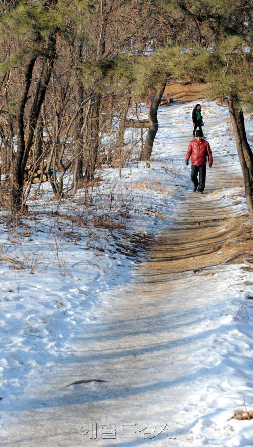 관악구 올레길./ 안훈기자 rosedale@ 2011.01.20
관악구 올레길./ 안훈기자 rosedale@ 2011.01.20
관악구 올레길./ 안훈기자 rosedale@ 2011.01.20
관악구 올레길./ 안훈기자 rosedale@ 2011.01.20
관악구 신림동 국제산장아파트에서 호림박물관까지 이어진 관악산 둘레길 3구간(4.5㎞). 호젓하고 단정한 숲길은 주민들에게 ‘사색의 산책로’로 사랑받는다.
안훈 기자/rosedale@