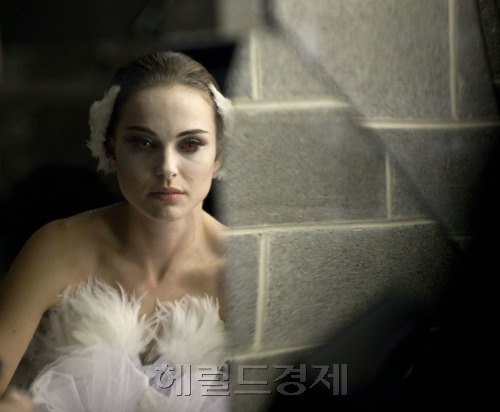 Natalie Hershlag) 영화배우 (이스라엘) / 영화면/‘엄친딸’ 나탈리 포트만, 롤리타에서 여신골드문 토토사이트 추천-copy(o)2