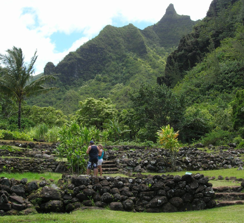 The Limahuli Garden and Preserve in Kauai, Hawaii, where visitors can walk ancient terraced areas
where Hawaiians grew taro. (Seattle Times/MCT)