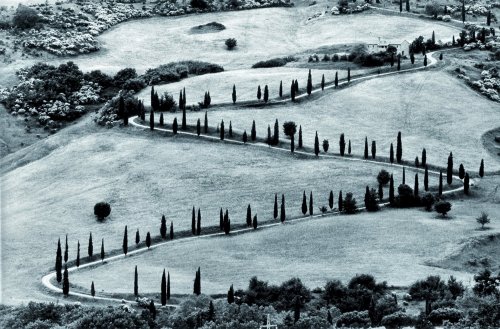 Campagna di Val d’Orcia (country of Val d’Orcia) photographed by Gianni Berengo Gardin
(Italian Embassy)