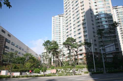 토토사이트 번호 차단지역의 집값이 2008년 9월 발발한 글로벌금융위기 이전으로 완전히 회복됐다. 향후 집값의 향배는 5~8억원의 고가 전세입자들이 매수에 나설지 여부에 달려있다.