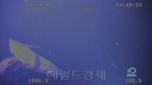 [사진=디스커버리채널 영상 캡처]