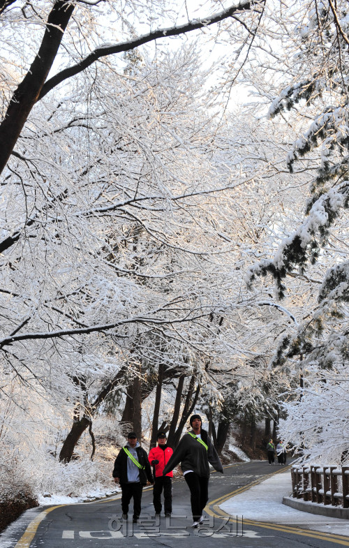 25일 오후 부터 내린 눈으로 26일 오전 서울 남산이 멋진 풍경을 자아내고 있다.<br />김명섭 기자 msiron@
마치 벚꽃 같은 착각이 드는 눈꽃이 춘삼월에 피었다. 24일 저녁부터 25일 새벽까지 내린 눈이 새순을 틔우려 준비 중인 서울 남산 나뭇가지에 내려앉아 멋진 풍경을 연출하고 있다. 도둑처럼 내린 눈이 그치고 주말에는 낮 최고기온 10도를 웃도는 화창한 날씨가 이어지겠다. 김명섭 기자/msiron@heraldm.com