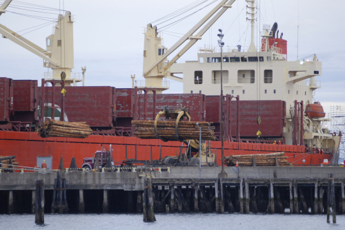 <YONHAP PHOTO-0281> In this March 28, 2011 photo, logs bound for China are loaded aboard the freighter STX Pioneer at the Port of Port Angeles, Wash. A spike in demand for wood products in China has driven up exports from the North Olympic Peninsula. (AP Photo/The Peninsula Daily News, Chris Tucker)/2011-03-30 06:15:10/ <저작권자 ⓒ 1980-2011 ㈜연합뉴스. 무단 전재 재배포 금지.>
Logs bound for China are loaded aboard the freighter STX Pioneer at the Port of Port Angeles in Washington. AP-Yonhap News