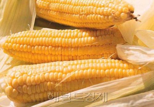 옥수수-원자재/ 커머더티 붐..고유가에 배팅이 “최선입니다”