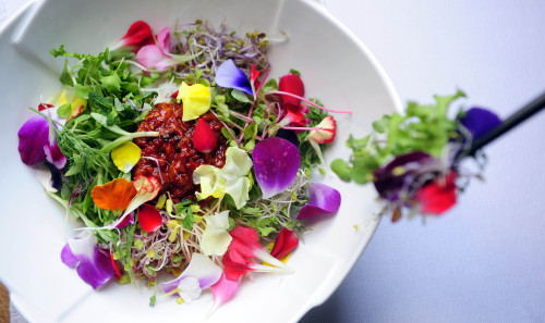 At Courtyard by Marriott Seoul Times Square’s MoMo Cafe,
bibimbap gets a spring makeover with a liberal sprinkling of
five different edible flowers. (Park Hae-mook/The Korea Herald)