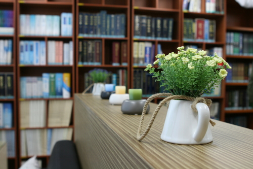 Having a plant in a room can reduce electromagnetic radiation. (Park Gyeong-hwa)
