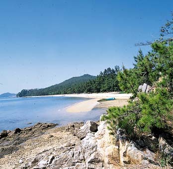Sorok Island off the southern coast