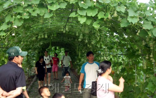 충남 청양산꽃토토사이트 db 해킹
정희조 기자/checho@heraldm.com 110405
충남 청양산꽃토토사이트 db 해킹<br alt=