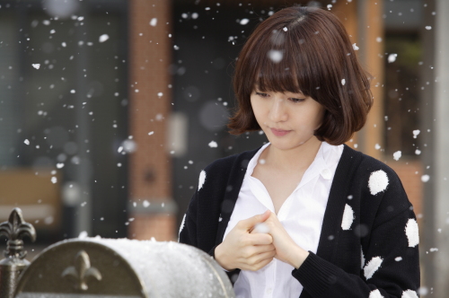 토토사이트 지분 탤런트, 가수/토토사이트 지분-copy(o)1