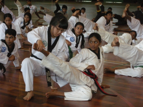 A volunteer teaches Sri Lankan participants during the 2010 Taekwondo
Peace Corps program. (World Taekwondo Peace Corps Foundation)