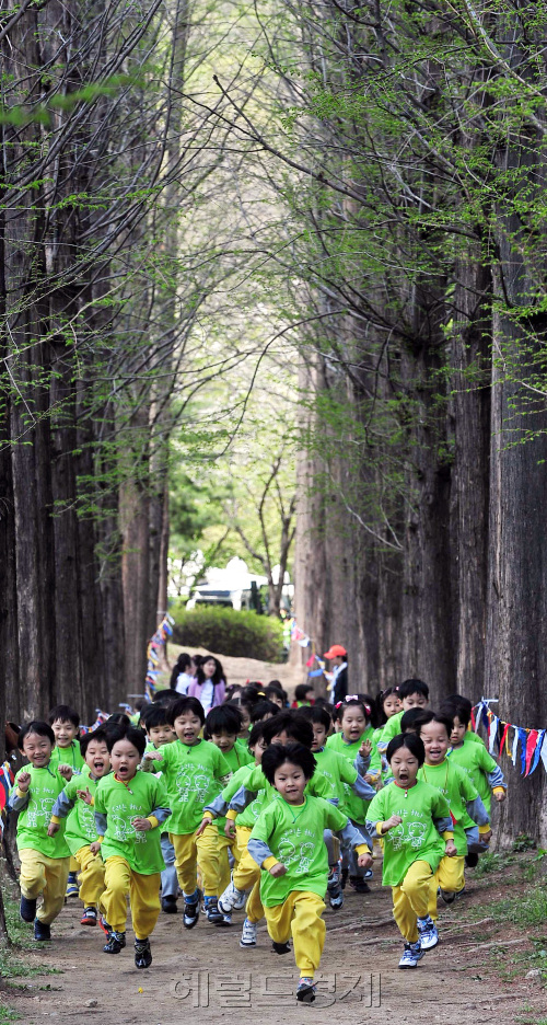 어린이날을 일주일 앞둔 28일 서초구는 관내 유아 1000여명이 참가하는  '서초꿈나무 축제'를 서초문화예술공원에서 열었다.행사에 참가한 유치원생들이 메타스콰이어 숲길을 즐겁게 달리고 있다. 박현구 기자phko@heraldm.com 2011.04.28
어린이날을 일주일 앞둔 28일 서초구는 관내 유아 1000여명이 참가하는  '서초꿈나무 축제'를 서초문화예술공원에서 열었다.행사에 참가한 유치원생들이 메타스콰이어 숲길을 즐겁게 달리고 있다. 박현구 기자phko@heraldm.com 2011.04.28
어린이날을 일주일 앞둔 28일 서초구는 관내 유아 1000여명이 참가하는  '서초꿈나무 축제'를 서초문화예술공원에서 열었다.행사에 참가한 유치원생들이 메타스콰이어 숲길을 즐겁게 달리고 있다. 박현구 기자phko@heraldm.com 2011.04.28
어린이날을 일주일 앞둔 28일 서울 서초구는 관내 유아 1000여명이 참가하는 ‘서초꿈나무 축제’를 서초문화예술공원에서 열었다. 행사에 참가한 유치원생들이 메타세쿼이아 숲길을 즐겁게 달리고 있다.   박현구 기자/phko@