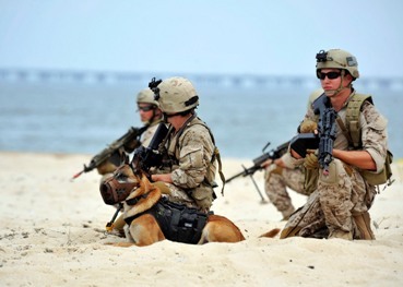 SEAL members (AFP-Yonhap News)