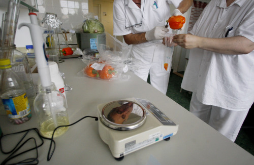 Chief of the laboratory in research into the Escherichia Coli bacterium at the Brno research institute Pavel Alexa, left, and his assistant Gabriela Glocknerova, right, take samples from a pepper for a molecular biological test in Brno, Czech Republic, Wednesday, June 1, 2011. The ongoing outbreak of E. coli has claimed 16 people and around 1500 infected across Europe. The laboratory is testing the vegetables for the Czech market. (AP-Yonhap News)