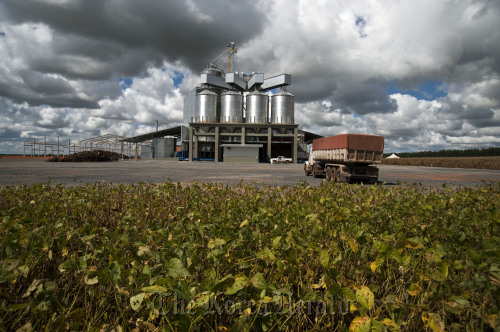 A truck arrives to unload harvested soybeans at the Mamonas farm in Correntina, Brazil.  Bloomberg