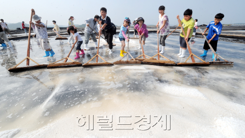 1마을 1축제  증도 소금축제_태평염전./ 안훈기자 rosedale@ 2011.06.20
1마을 1축제  증도 소금축제_태평염전./ 안훈기자 rosedale@ 2011.06.20
