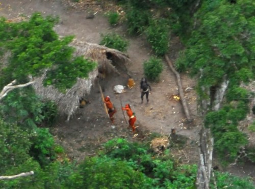 “Uncontacted Indians” of the Envira, who have never before had any contact with the outside world, photographed in May 2008, as they react to the overflight at their camp in the Terra Indigena Kampa e Isolados do Envira, Acre state, Brazil.  AP