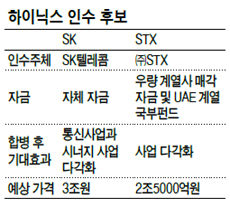 신수종 확보·사업다각화 돌파구/ 하이닉스 인수합병
