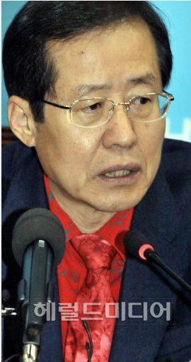 홍준표 한나라당 (대표최고위원), 대한태권도협회 (회장) / 홍준표 “대통령은 정치 잘 못해”