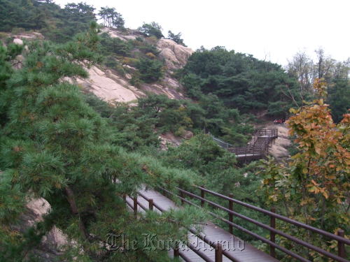Mount Bukhan’s Sky Walk trail, a part of the 63.2 km hiking loop, has up to 308 pptv of airborne antimicrobial compounds.  Seoul Metropolitan Government