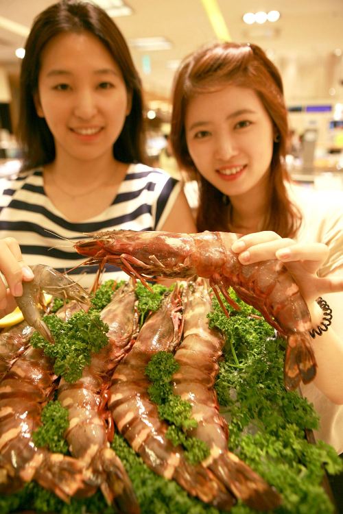 오는 16일부터 추석선물세트 예약판매를 시작하는 AK플라자는 길이가 30㎝에 달하는 큼직한 ‘바다호랑이 새우’ 선물세트를 선보였다. AK플라자가 소개한 ‘바다호랑이 새우’는 포획되자마자 개별급속냉동(IQF : Individual Quick Freezing) 방식으로 처리돼 신선도를 유지한 것이 특징이다. \r\n ［사진제공 = AK플라자］