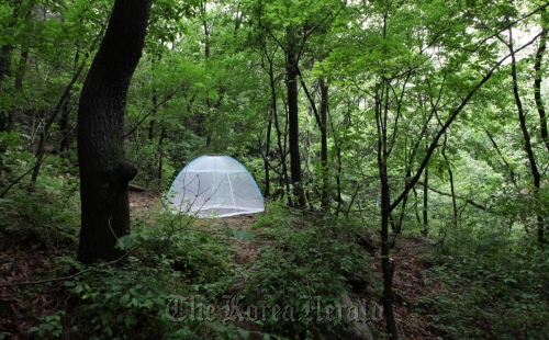 A scene from Kim Sang-don’s video “Solveig’s Song.”
