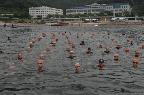 해군 사관생도 500여명이 10일 진해 해군사관학교 앞바다에서 해상에서 생존능력 향상과 장거리 수영능력을 배양하기 위한 전투수영훈련을 하고 있다. 매년 여름 1주일씩 실시하는 전투수영훈련의 마지막날인 이날 생도들은 왕복 5km 거리를 수영한다. ［사진=해군 제공］