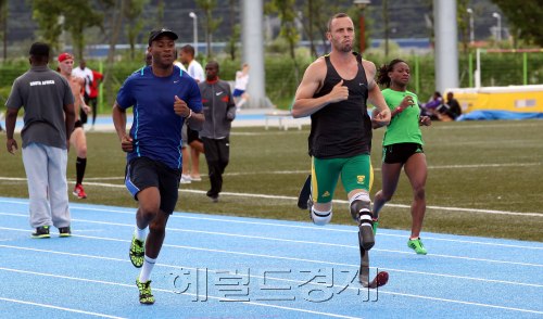 26일 오후 2011 대구세계육상선수권대회 개막을 하루 앞둔 가운데 대구시 동구 율하동 선수촌 훈련장에서 의족 스프린터 오스카 피스토리우스가  훈련을 하고 있다. 대구=박해묵 기자/mook@heraldm.com\r\n26일 오후 2011 대구세계육상선수권대회 개막을 하루 앞둔 가운데 대구시 동구 율하동 선수촌 훈련장에서 의족 스프린터 오스카 피스토리우스가  훈련을 하고 있다. 대구=박해묵 기자/mook@heraldm.com