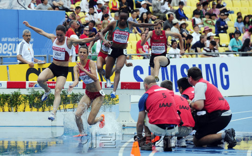 대구세계육상선수권대회 개막일인 27일 오전 대구스타디움에서 여자 3000m 장애물경기가 치열하게 벌어지고 있다. 대구=박해묵 기자/mook@heraldm.com\r\n대구세계육상선수권대회 개막일인 27일 오전 대구스타디움에서 여자 3000m 장애물경기가 치열하게 벌어지고 있다. 대구=박해묵 기자/mook@heraldm.com