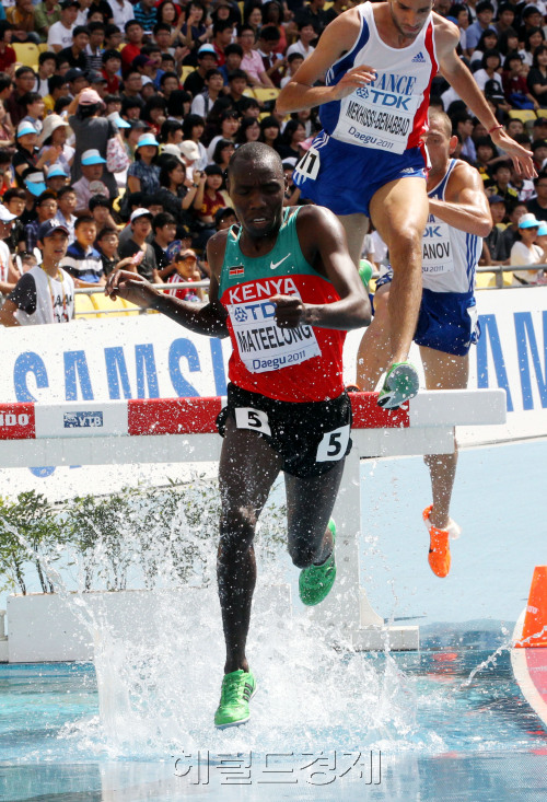 '2011대구세계육상선수권대회' 3일째인 29일 대구 스타디움에서 남자 3000m 장애물 예선 참가 선수들이 장애물을 넘으며 질주하고 있다.