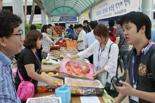 삼성SDI 천안사업장에서 9일까지 열린 재래시장 직거래 장터에서 삼성 임직원들이 지역특산품 및 추석 제수용품 등 각종 농산품을 구입하고 있다. 직거래장터는 추석을 앞두고 삼성SDI와 지역 재래시장이 공동 개최한 것으로, 대형마트나 온라인 쇼핑 등에 비해 유통망이 약해 판매에 어려움을 겪는 지역 재래시장 활성화를 지원키 위해 마련됐다. [사진제공=삼성SDI]