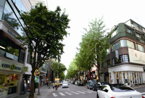 Garosu-gil, a 700-meter promenade in Sinsa-dong, southern Seoul (Gangnam District Office)