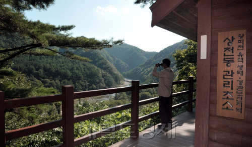 울진송이축제가 열리는 굴구지마을앞을 흐르고 있는 왕피천. 이 지역은 생태경관보존지역으로 나라에서 직접 관리하고 있다.<br />정희조 기자/checho@heraldm.com 110915\r\n울진송이축제가 열리는 굴구지마을앞을 흐르고 있는 왕피천. 이 지역은 생태경관보존지역으로 나라에서 직접 관리하고 있다.\n정희조 기자/checho@heraldm.com 110915