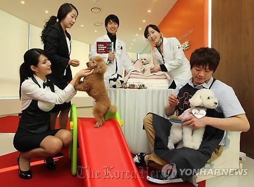 Irion Animal Hospital, located in the affluent Cheongdam-dong, southern Seoul, hopes to become a multicomplex for pets.  Yonhap News