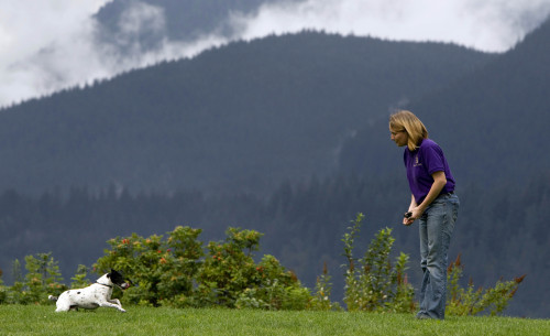 <YONHAP PHOTO-0364> This Sunday, Sept. 18, 2011 photo shows animal trainer Lauren Henry with her dog Spike in North Vancouver, Canada. Henry trains hundreds of animals for TV and film appearances every year and often teaches classes for other trainers and animal owners. (AP Photo/The Canadian Press, Jonathan Hayward)/2011-09-28 07:08:43/ <저작권자 ⓒ 1980-2011 ㈜연합뉴스. 무단 전재 재배포 금지.>\r\nThis Sept. 18 photo shows animal trainer Lauren Henry with her dog Spike in North Vancouver, Canada.  AP-Yonhap News
