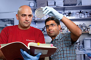 Luciano DiTacchio and Satchidananda Panda (Courtesy of Salk Institute for Biological Studies)