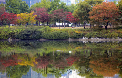 완연한 가을 날씨를 보이는 12일 오전, 경기도 고양시 일산호수공원에 나무들이 가을색으로 물들어 가고 있다. 시민들이 울긋불긋 물어가는 나무들을 보며 산책을 즐기고 있다. 박해묵 기자/mook@heraldm.com\r\n완연한 가을 날씨를 보이는 12일 오전, 경기도 고양시 일산호수공원에 나무들이 가을색으로 물들어 가고 있다. 시민들이 울긋불긋 물어가는 나무들을 보며 산책을 즐기고 있다. 박해묵 기자/mook@heraldm.com\r\n맑디 맑은 호숫물이 거대한 캔버스로 변신했다. 완연한 가을 날씨를 보인 12일 오전 경기 일산호수공원. 수면조차 오색 단풍으로 물들어 한 폭의 수채화를 연상케 하고 있다. 기상청은 14일부터 전국적으로 비가 온 후 15일부터 강한 바람을 동반한 쌀쌀한 날씨가 찾아올 것으로 내다봤다.   박해묵 기자/mook@heraldm.cm