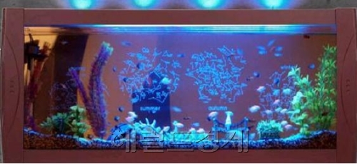 지나친 경쟁으로 인한 바쁜 삶, 스트레스로 인한 피로와 우울증을 호소하는 사람들이 갈수록 늘고 있다. 자연히 정신적 휴식이 중요해진다. 휴식처인 가정의 인테리어는 자연을 닮아갈 수밖에 없다. ‘에코 힐링(Eco-Healing)’ 주거공간이 각광받는 이유다.