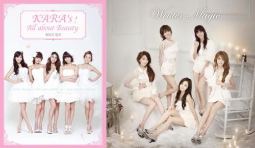 14일 소속사 DSP미디어에 따르면 카라는 ‘KARA’S ALL ABOUT BEAUTY(뷰티의 정석)’ DVD 발매 당일인 12일 차트 정상에 올라 13일 까지 이틀 연속 1위를 지켰다