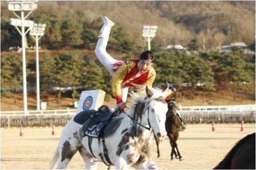 우리 말산업의 현주소와 미래를 가늠해볼 국내 최대 말산업 축제가 열린다. 농림수산식품부와 한국마사회가 오는 19일(수)부터 23일(일)까지 5일간 서울경마공원 일원에서 ‘2011 말산업 대축전’을 개최한다. 이 행사는 국내 말산업 발전의 획기적 도약의 계기가 될 말산업육성법 시행(9월 10일)을 축하하고 말산업육성법과 말산업을 홍보할 목적으로 기획됐다. 이번 축제에는 축하기념식을 비롯해 아이돌 스타들의 특집 콘서트 등 다양한 행사가 마련된다