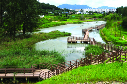 Neungam Wetland Park near Namhan River in Chungju, North Chungcheong Province Environment Ministry