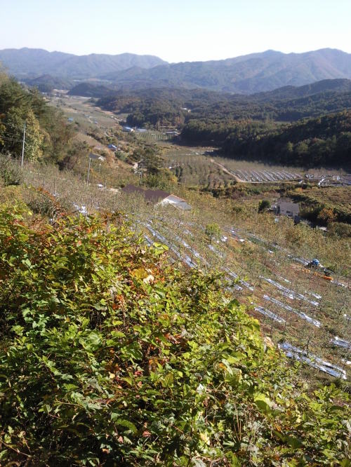 봉화군 서벽권역 “백두대간이 품은 청정 십승지…최고의